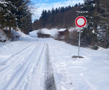 aktuality / Výrazne poškodený most na lesnej ceste - foto